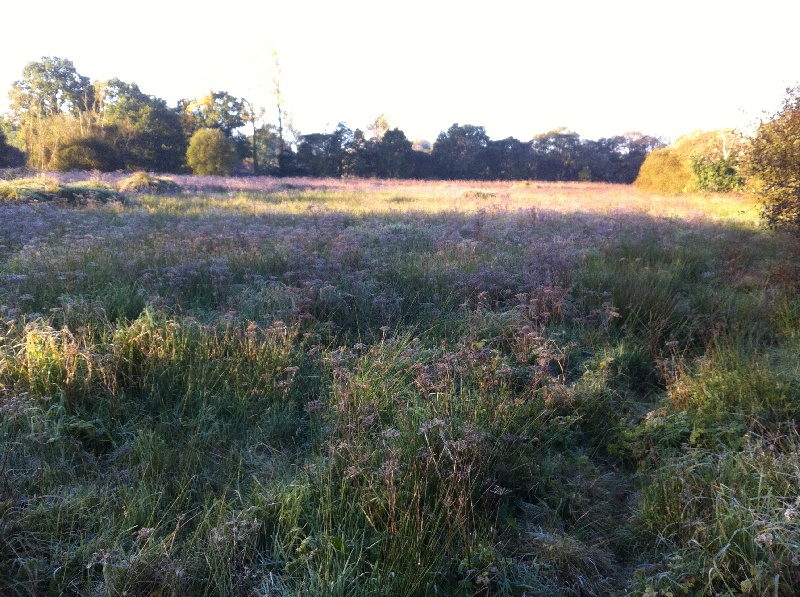terrains entrainements et chasses
